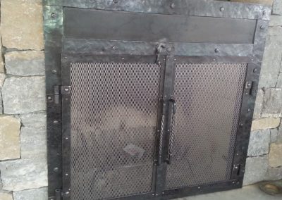 Fireplace doors with panel